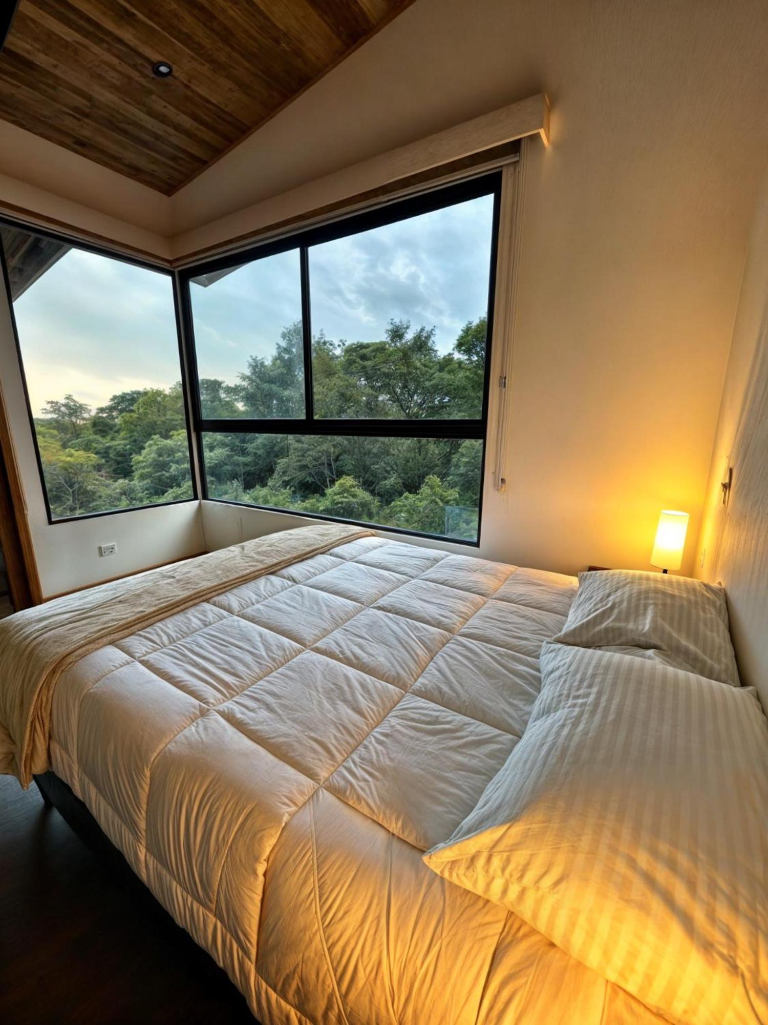 Moon Forest Apartments Monteverde Kültér fotó