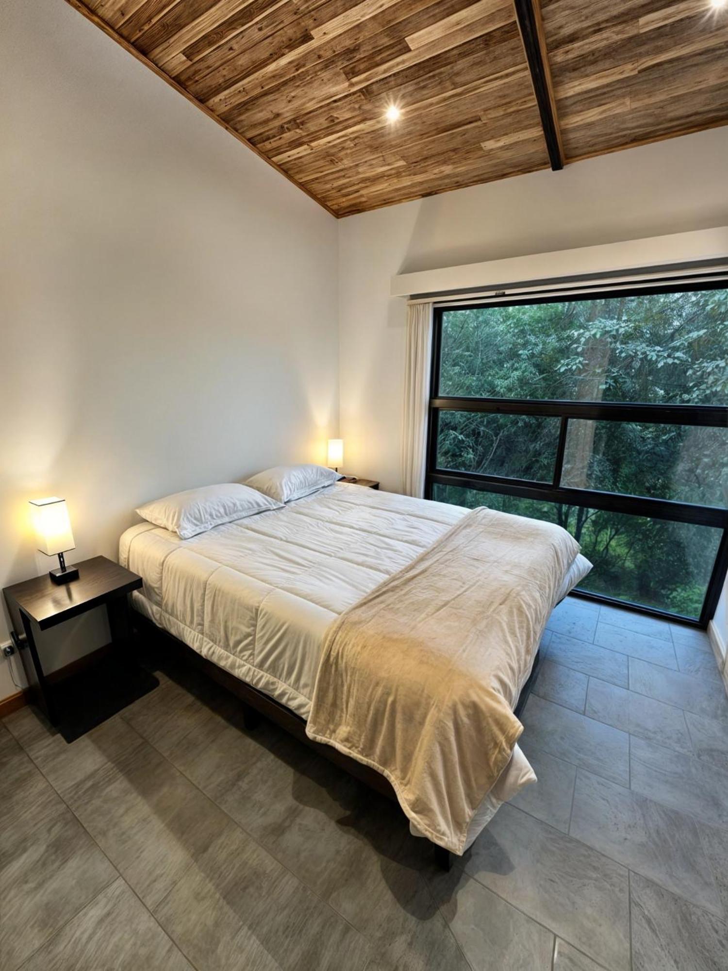 Moon Forest Apartments Monteverde Kültér fotó