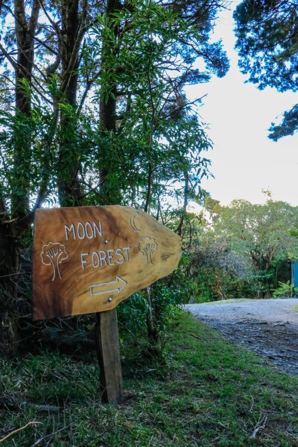 Moon Forest Apartments Monteverde Kültér fotó