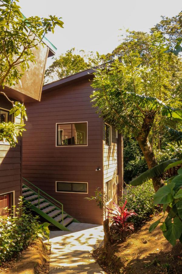 Moon Forest Apartments Monteverde Kültér fotó