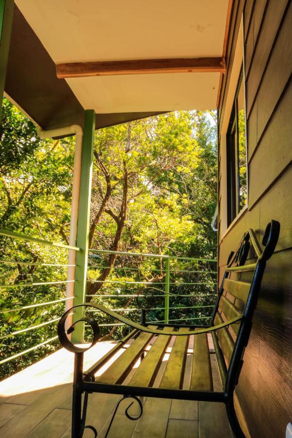 Moon Forest Apartments Monteverde Kültér fotó